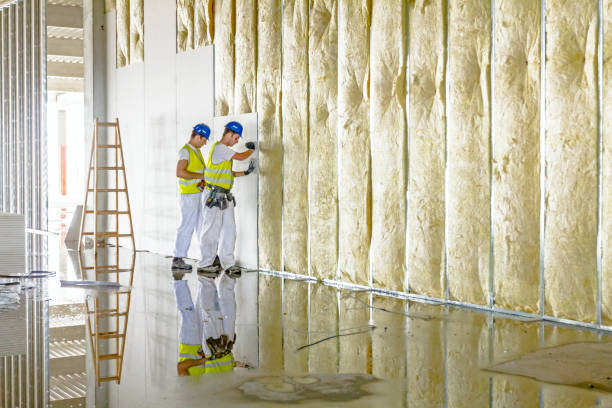 Best Crawl Space Insulation  in Greenwich, OH